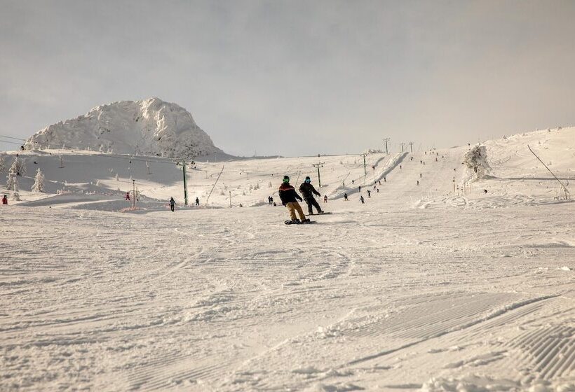 호텔 Dorukkaya Ski & Mountain Resort