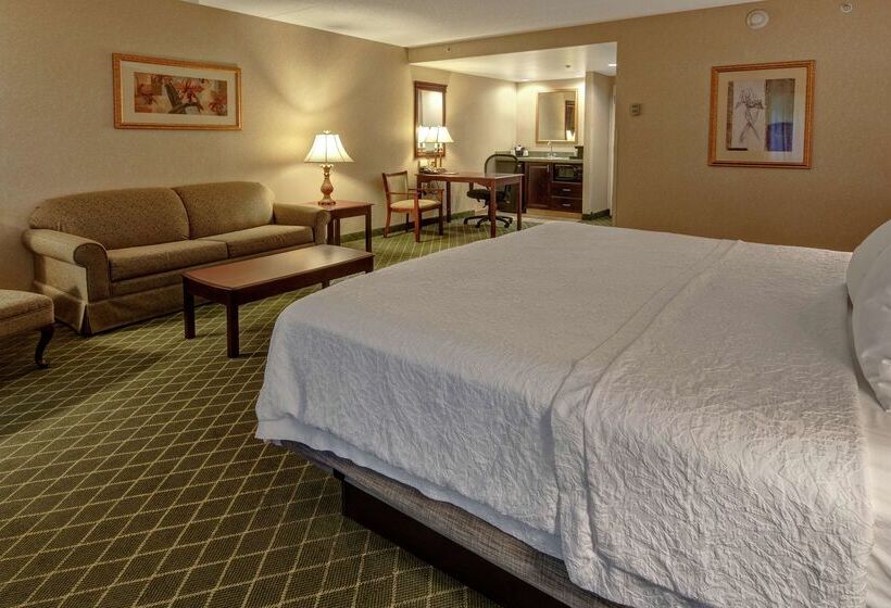 호텔 Hampton Inn Cambridge