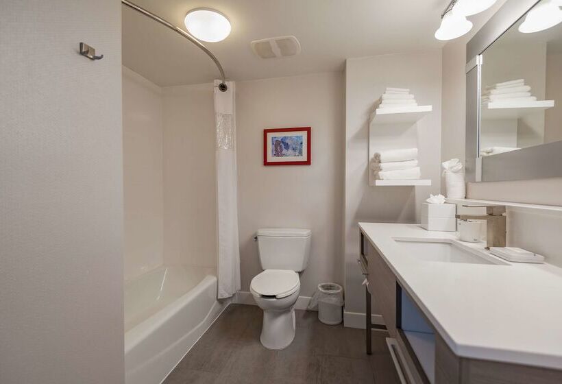 فندق Hampton Inn East Windsor