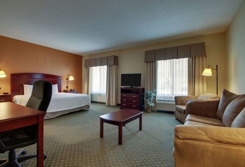 Hotel Hampton Inn & Suites Denver Littleton