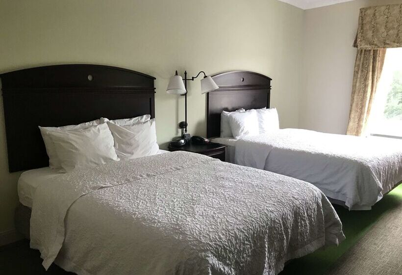 هتل Hampton Inn Vidalia