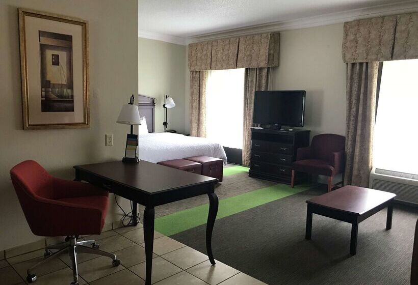 Hotel Hampton Inn Vidalia