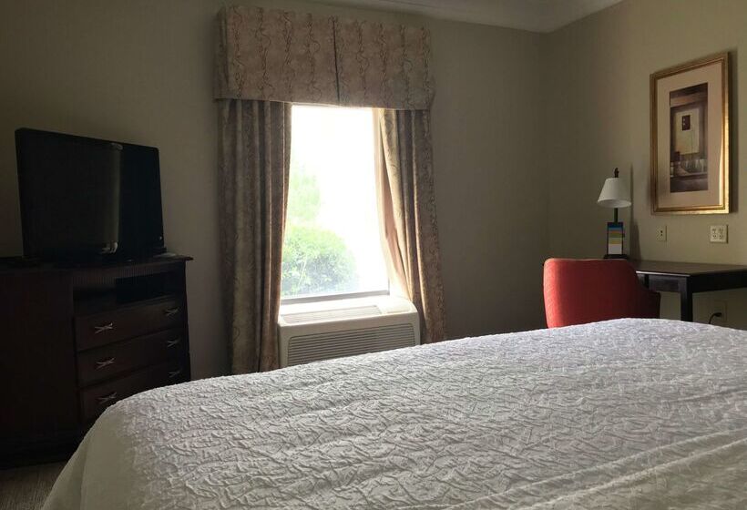 Hotel Hampton Inn Vidalia