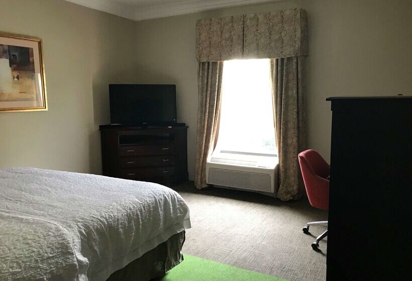 هتل Hampton Inn Vidalia