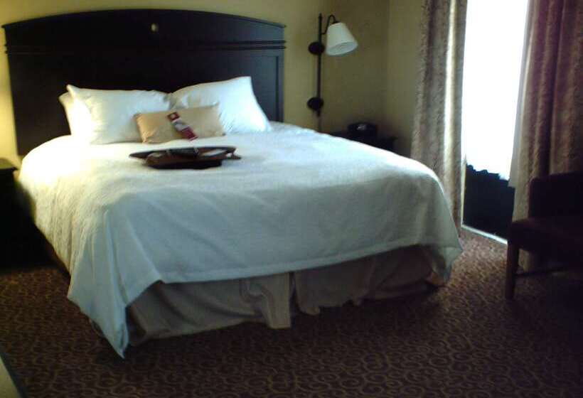 هتل Hampton Inn Vidalia