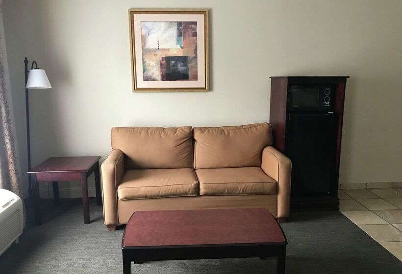 هتل Hampton Inn Vidalia