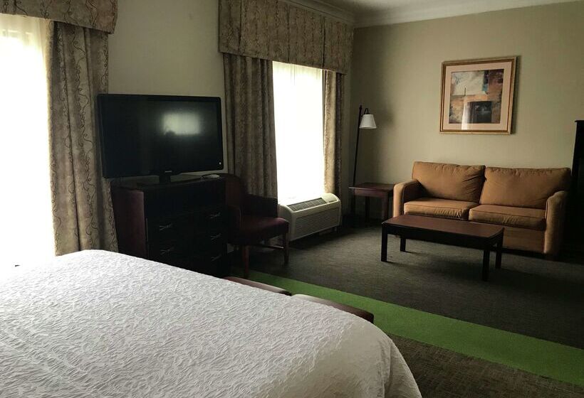 هتل Hampton Inn Vidalia