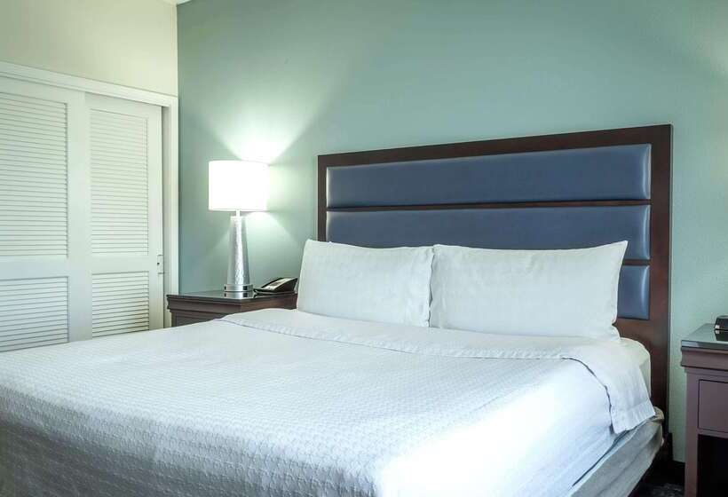 Hotel Homewood Suites By Hilton Miami Airport West