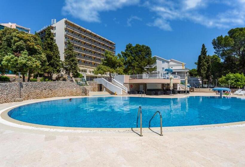 هتل Villa Tamaris   Resort Drazica