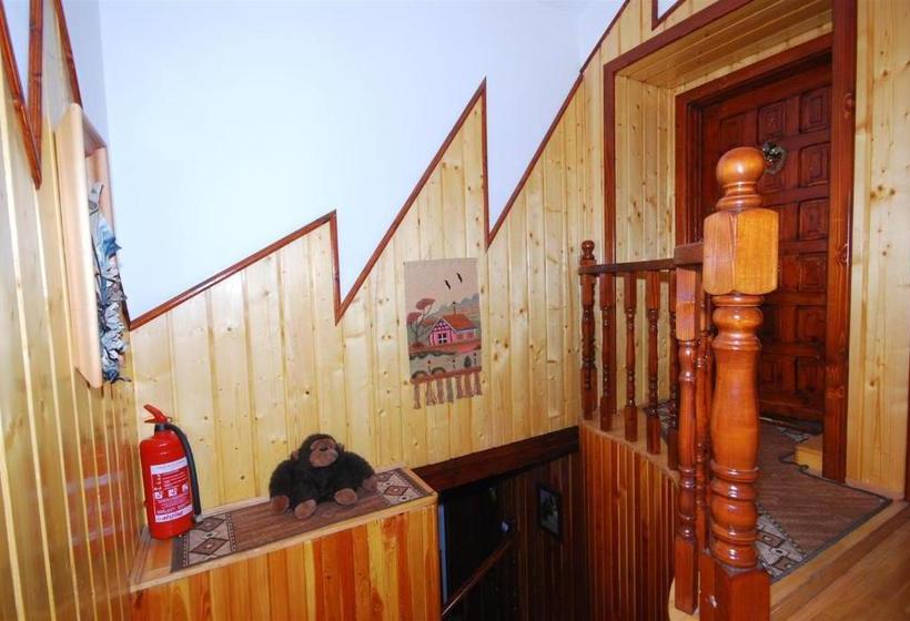 Pension Casa Bradul