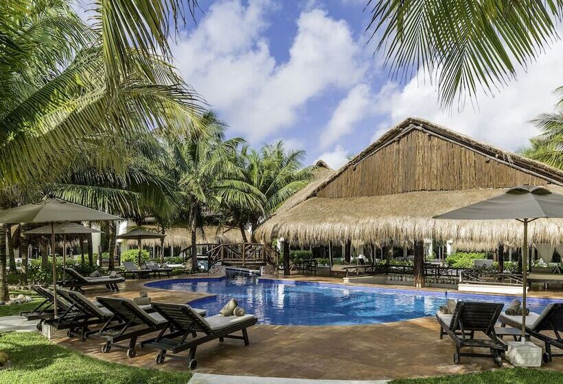 استراحتگاه El Dorado Casitas Royale Catamarán, Cenote & More Inclusive