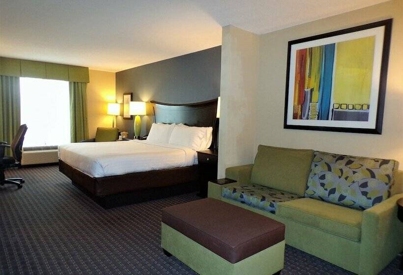 Hotel Holiday Inn Express  & Suites Largoclearwater