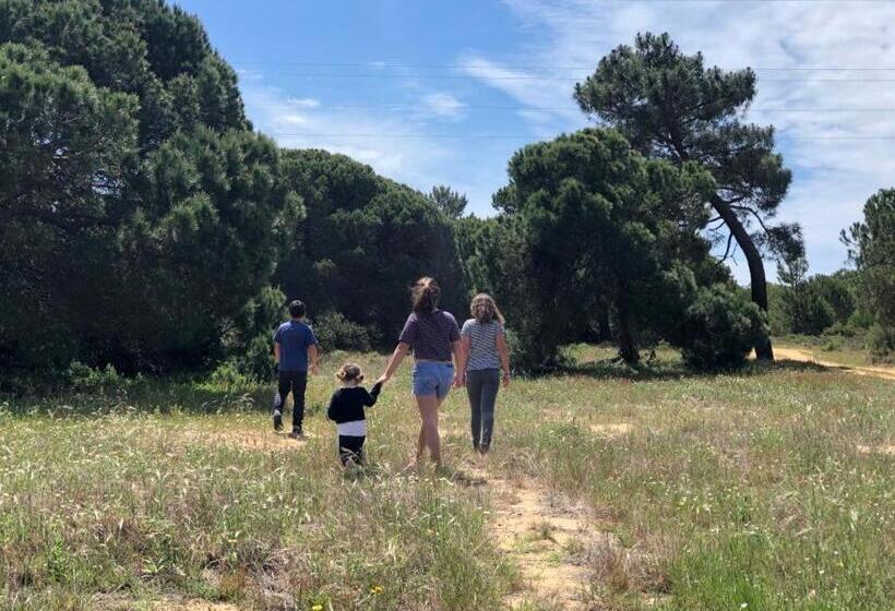 مسافرخانه Herdade Do Freixial   Turismo Rural