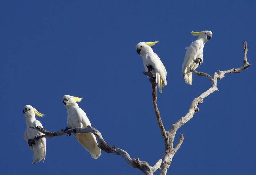 هتل Bamurru Plains