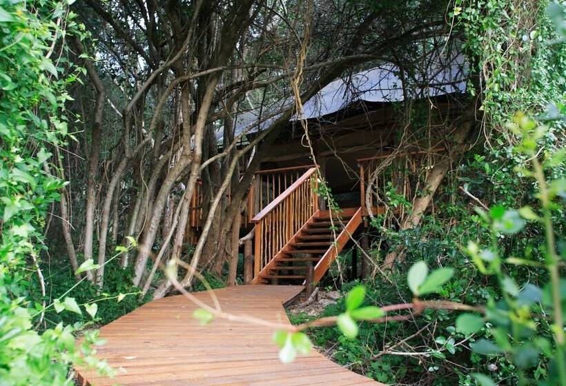 בית מלון כפרי Botlierskop Private Game Reserve