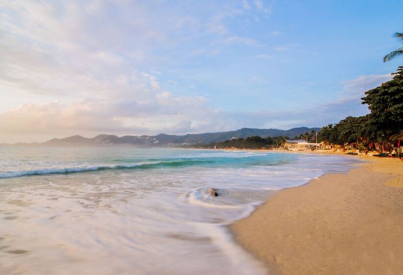 هتل Chaweng Garden Beach Resort   Sha Plus