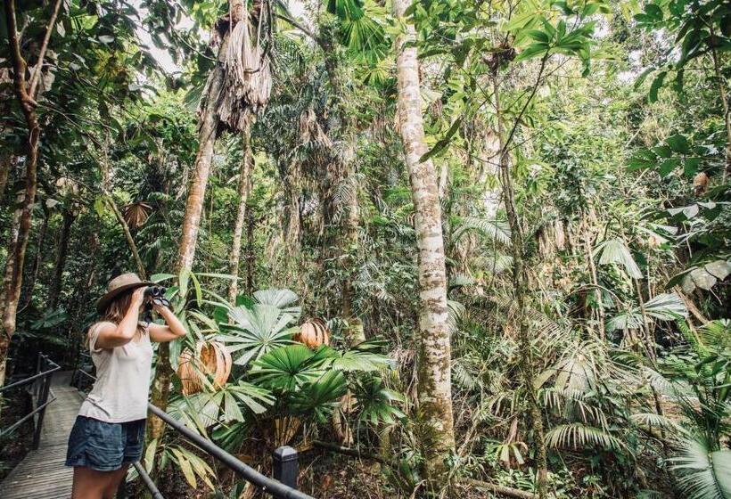 호텔 Daintree Wilderness Lodge