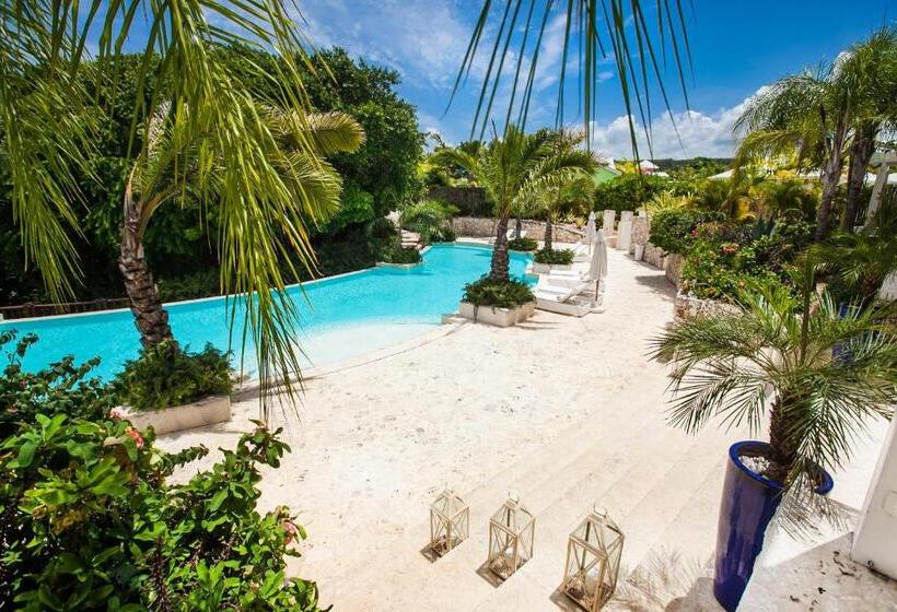 Fotos del hotel Eden Roc At Cap Cana:  65