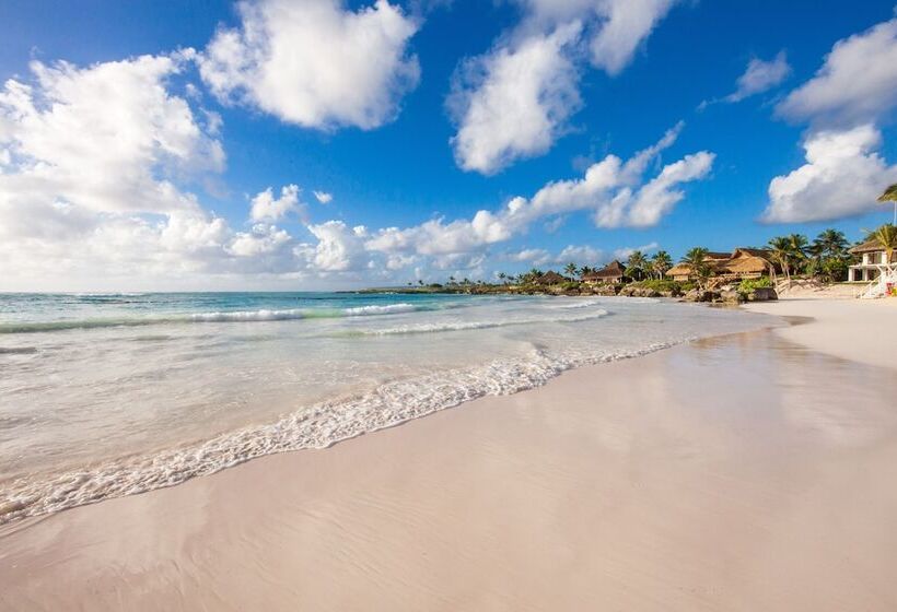 Fotos del hotel Eden Roc At Cap Cana:  13