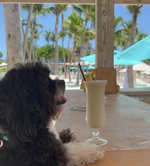 Fotos del hotel Eden Roc At Cap Cana:  51