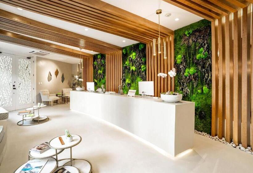 Fotos del hotel Eden Roc At Cap Cana:  50