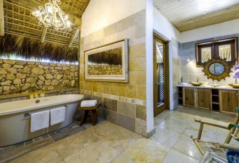 Fotos del hotel Eden Roc At Cap Cana:  56