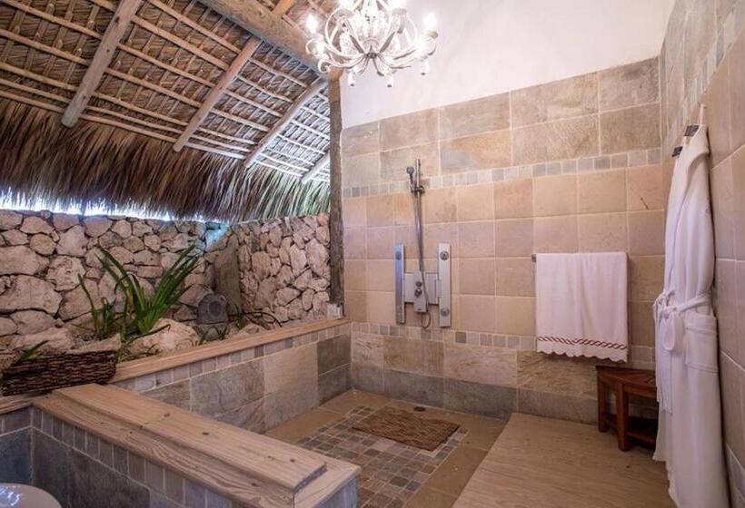 Fotos del hotel Eden Roc At Cap Cana:  59