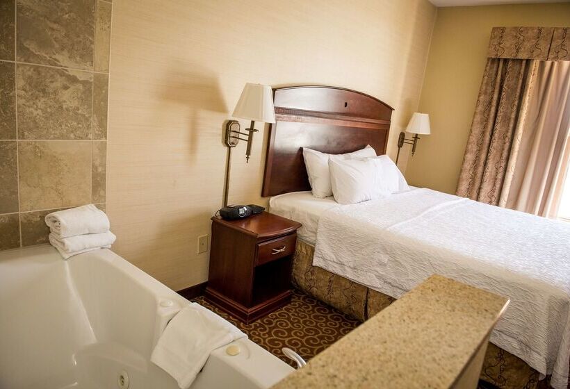 هتل Hampton Inn Plover/stevens Point