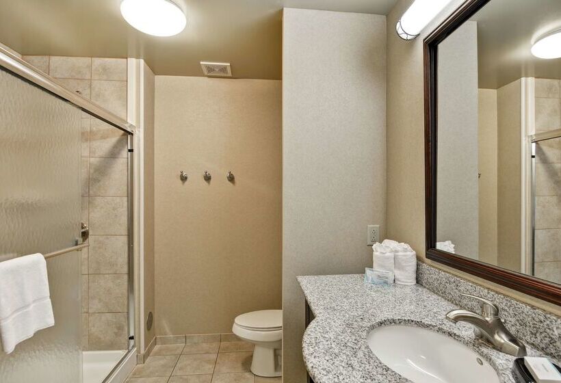 ホテル Hampton Inn Sayre