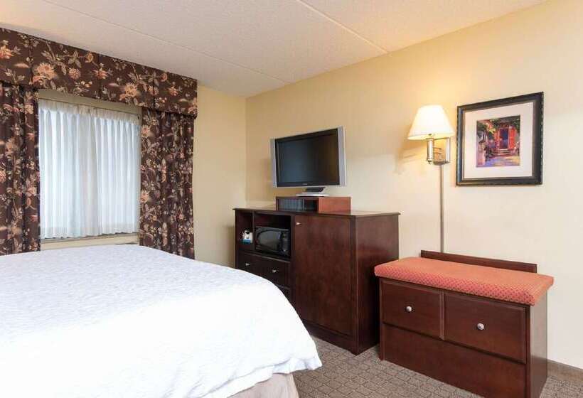 فندق Hampton Inn Schenectady Downtown