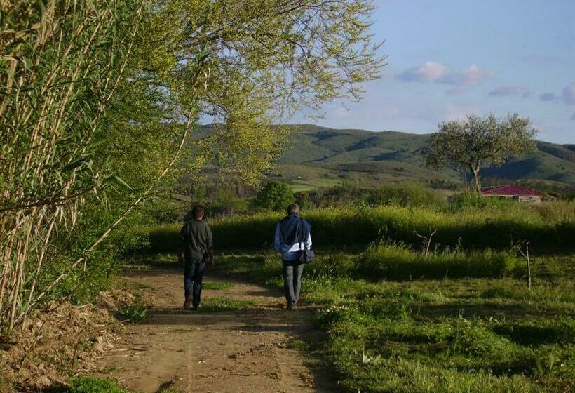 בית מלון כפרי Quinta Do Barracao Da Vilarica