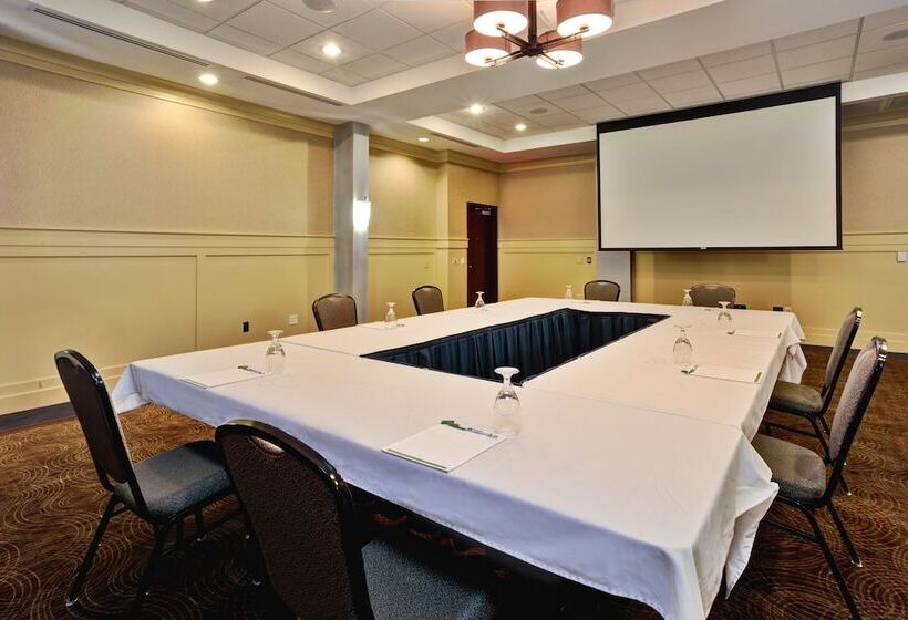 هتل Holiday Inn Detroit Metro Airport, An Ihg