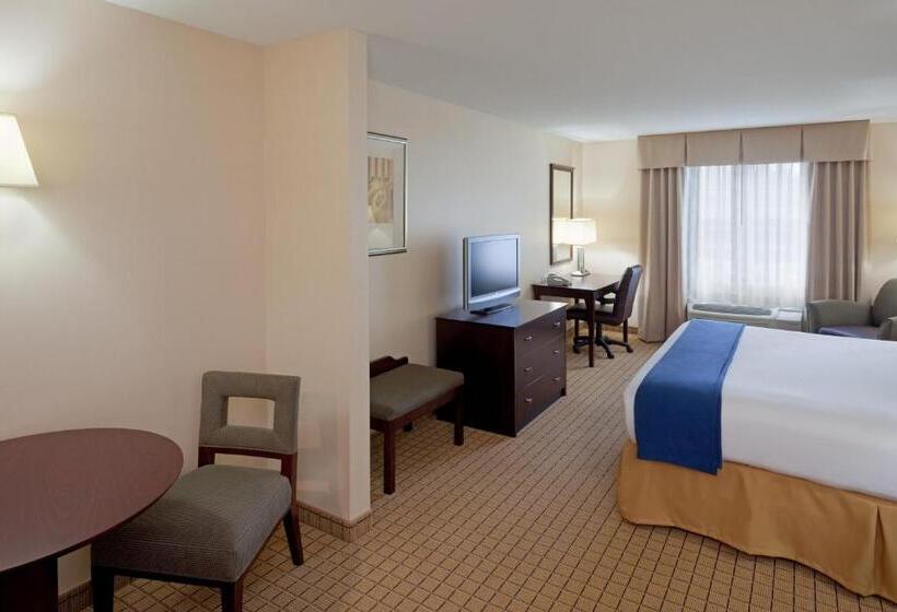 Holiday Inn Express Hotel & Suites Rochester, An Ihg
