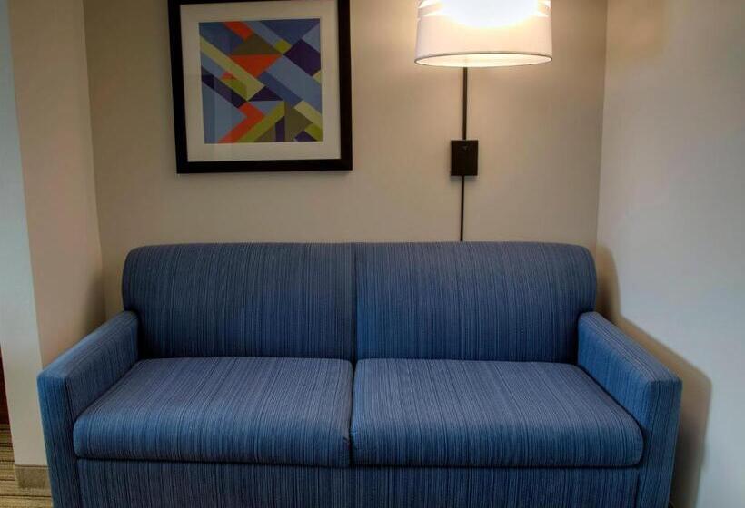 酒店 Holiday Inn Express Rochelle, An Ihg