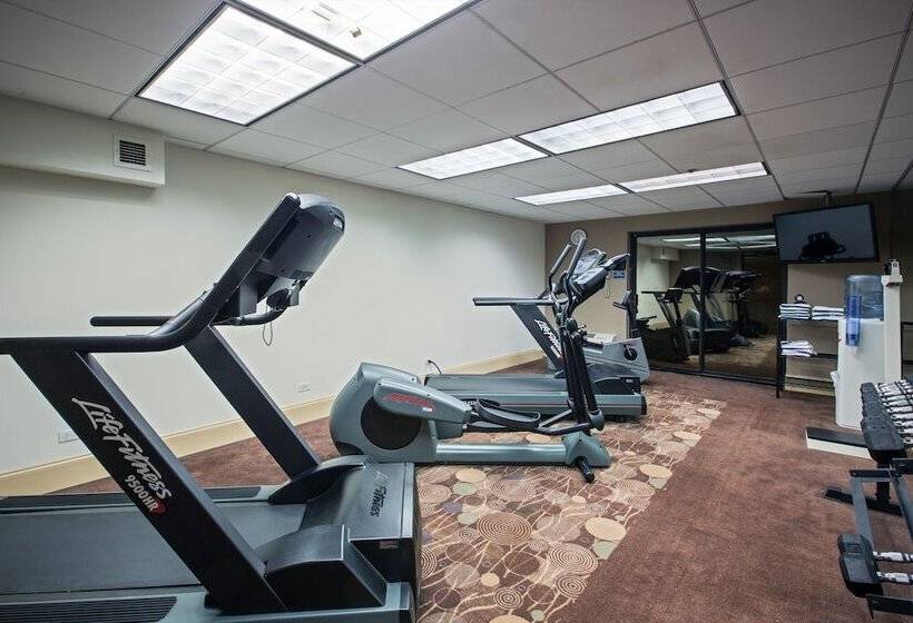 Отель Holiday Inn Express Schaumburg Rolling Meadows, An Ihg