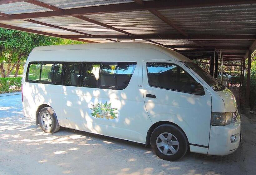 هتل Mango Spa & Resort