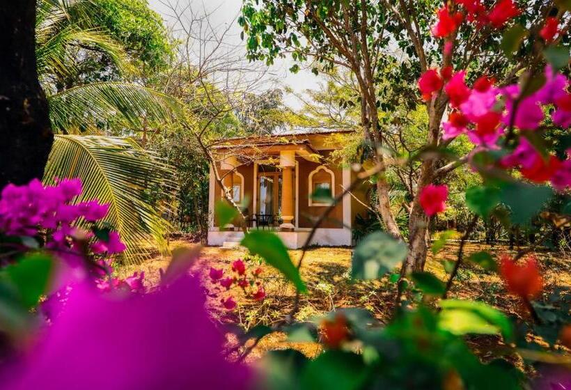 Отель Blue Ocean The Fern Resort & Spa Ganpatipule