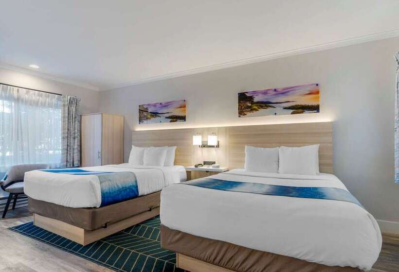 ホテル Comfort Inn Carmel By The Sea