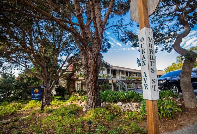 ホテル Comfort Inn Carmel By The Sea