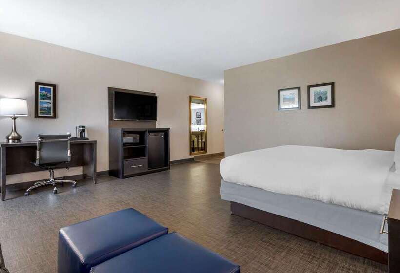 Hotel Comfort Inn & Suites Greer  Greenville