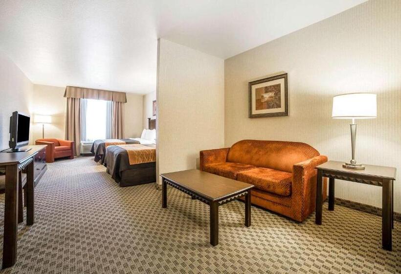هتل Comfort Inn & Suites Henderson  Las Vegas