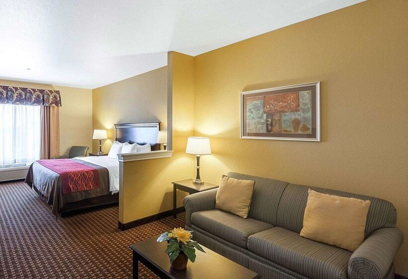 בית מלון כפרי Comfort Inn & Suites Regional Medical Center