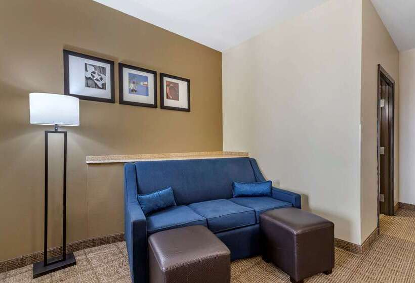هتل Comfort Suites Buda   Austin South