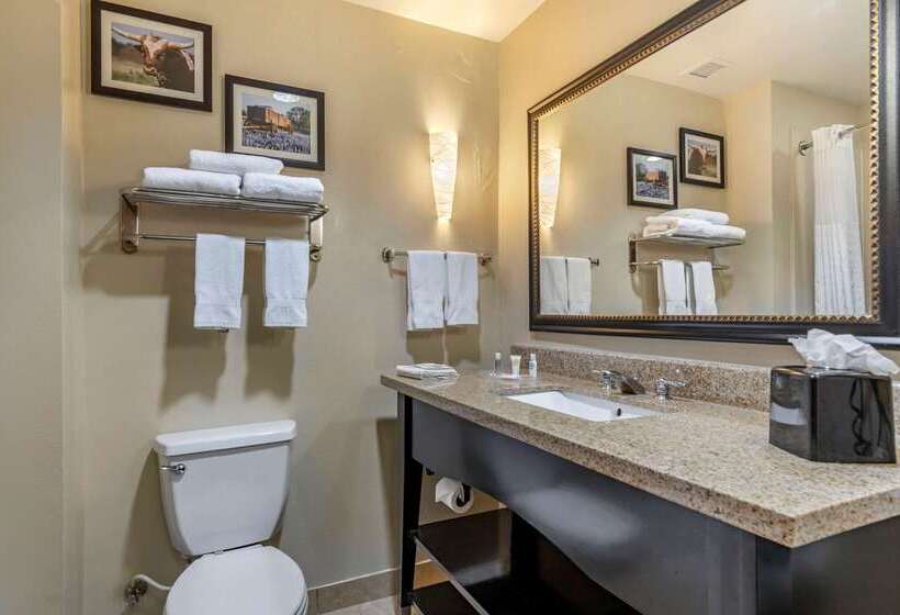 هتل Comfort Suites Buda   Austin South