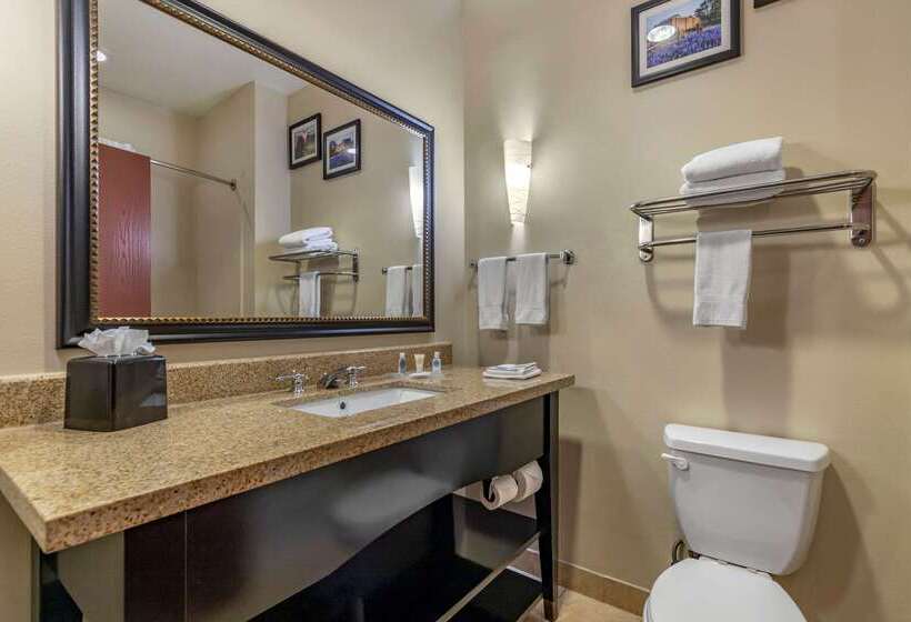 هتل Comfort Suites Buda   Austin South