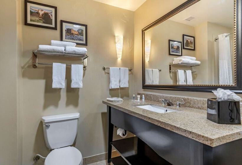 هتل Comfort Suites Buda Austin South