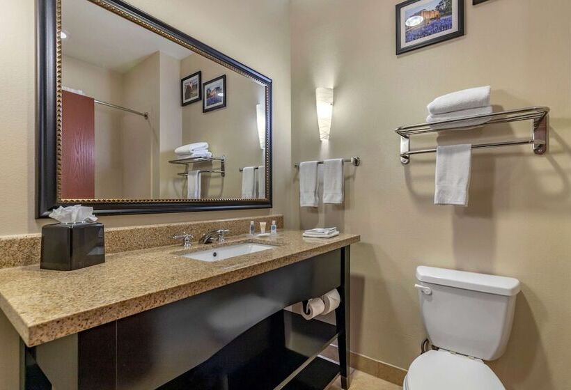 هتل Comfort Suites Buda   Austin South