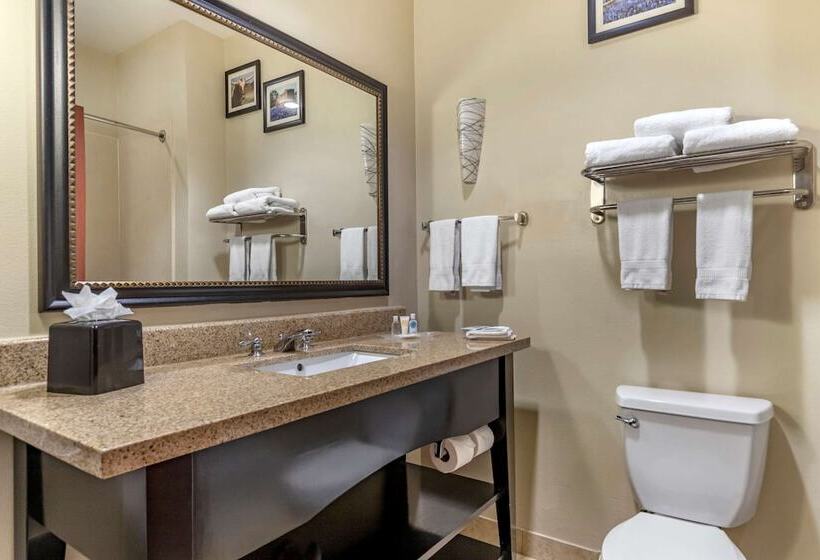 هتل Comfort Suites Buda   Austin South