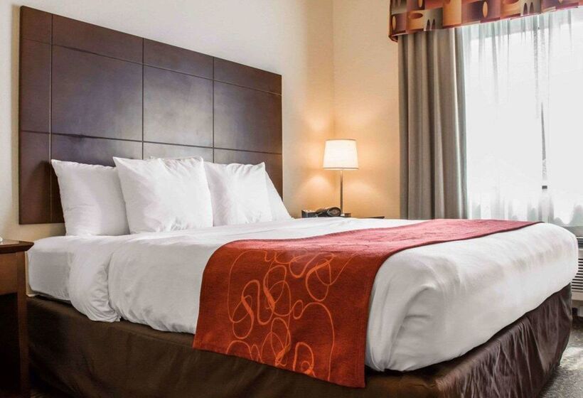 هتل Comfort Suites Huntsville Midcity District At Research Park