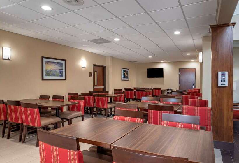 Fotos del hotel Comfort Suites Near Texas Medical Center  Nrg Stadium:  43